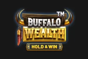 Buffalo Wealth - Hold & Win logo